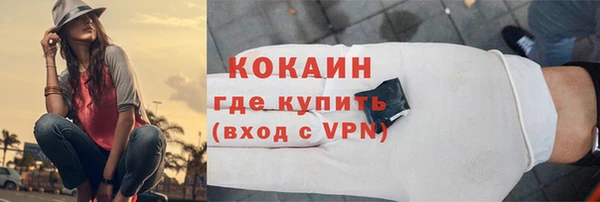 крисы Козловка