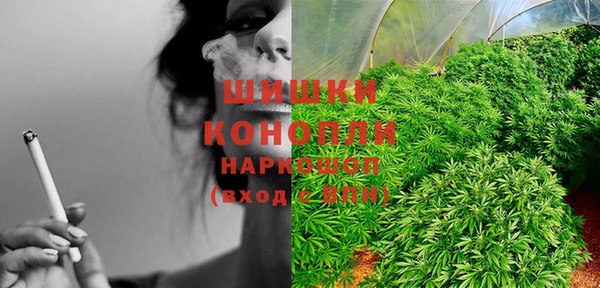 крисы Козловка