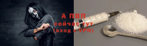 крисы Козловка