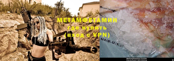 крисы Козловка