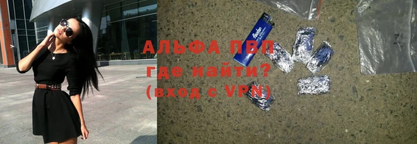 крисы Козловка