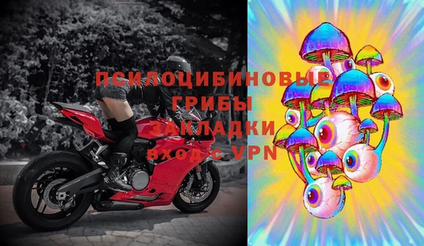 крисы Козловка