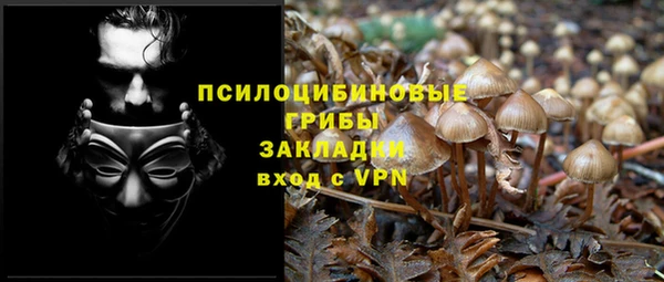 первитин Козельск