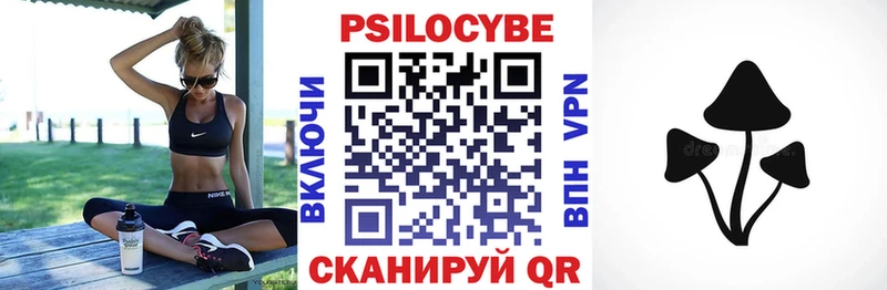 Купить где  Ельня  Псилоцибиновые грибы мухоморы 